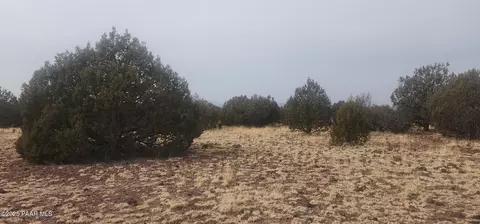 792 Westwood Rnch, Ash Fork, AZ 86320 photo 15