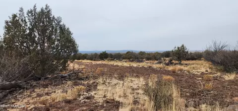 792 Westwood Rnch, Ash Fork, AZ 86320 photo 6