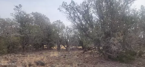 792 Westwood Rnch, Ash Fork, AZ 86320 photo 14