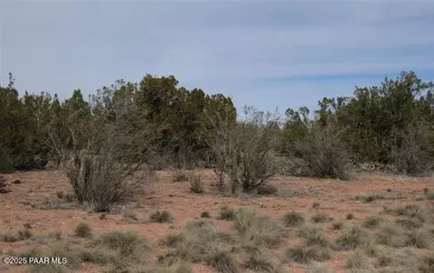 55899 N Val Vista Rd, Seligman, AZ 86337