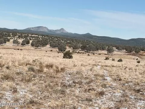 98 Ten Tanks Rd # -C, Ash Fork, AZ 86320 photo 4