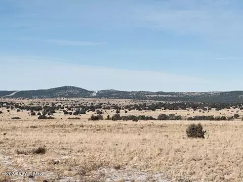 98 Ten Tanks Rd # -C, Ash Fork, AZ 86320 photo 6