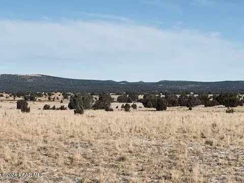 98 Ten Tanks Rd # -C, Ash Fork, AZ 86320 photo 3