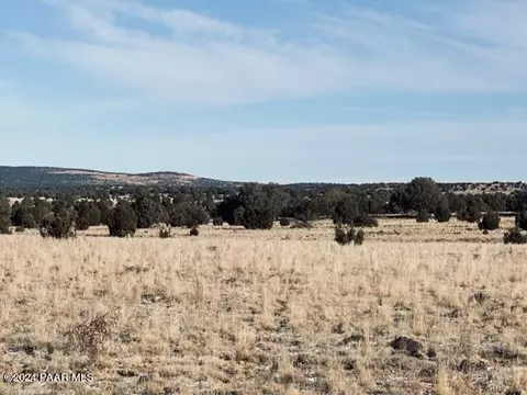 98 Ten Tanks Rd # -D, Ash Fork, AZ 86320 photo 4