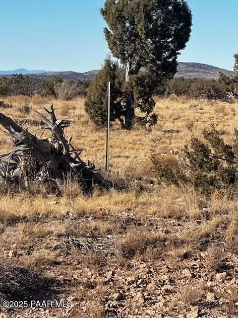 lot408 Hyde Park Rd, Seligman, AZ 86337