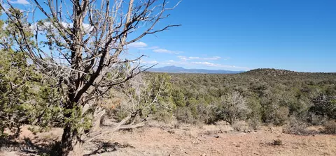 lot50 Scorpion, Ash Fork, AZ 86320