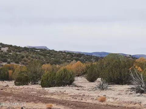 lot1359 Off Last Chance Rd, Seligman, AZ 86337
