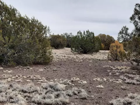 lot1359 Off Last Chance Rd, Seligman, AZ 86337