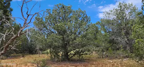 968 Westwood Rnch, Williams, AZ 86046