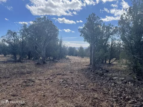 lot189 C Dragonfly Rd, Ash Fork, AZ 86320 photo 3