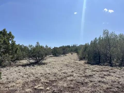 1709 N Frances Ln, Ash Fork, AZ 86320 photo 9