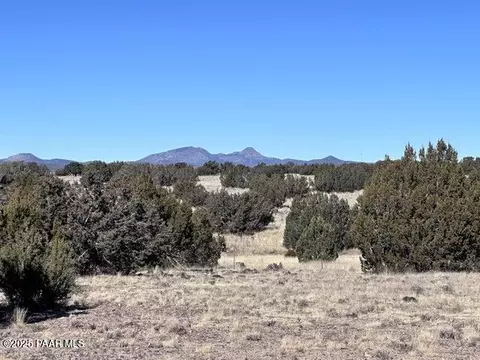 287 NW Tanner Rd, Ash Fork, AZ 86320 photo 9