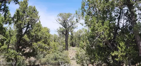 7980 Ancient Way # B, Seligman, AZ 86337