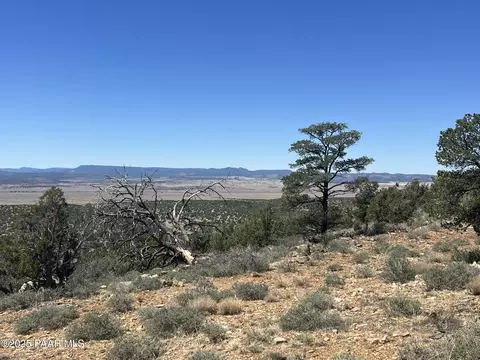 295 Old Deputy Shortline, Ash Fork, AZ 86320
