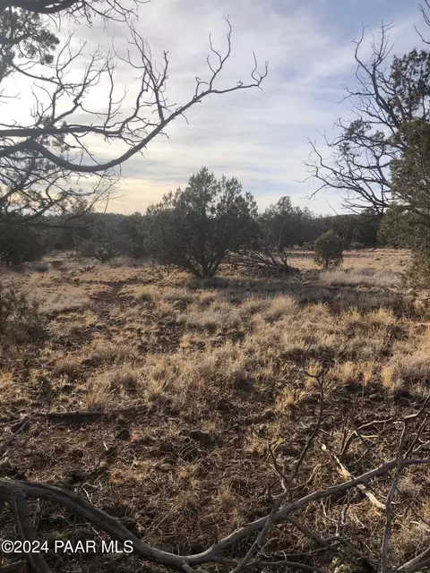Other - 3669 N Verde Rd, Williams, AZ 86046 photo 6 of 16