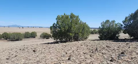 273 Off Antelope Run, Ash Fork, AZ 86320