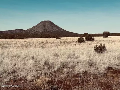 90 Volcano Trl # B, Ash Fork, AZ 86320 photo 2