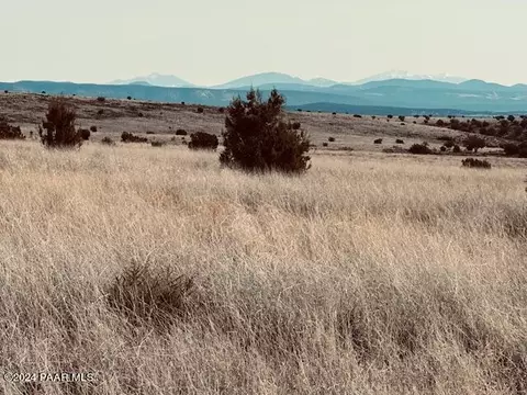 90 Volcano Trl # B, Ash Fork, AZ 86320 photo 8