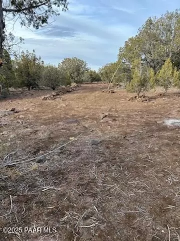 199 Westwood Rnch, Williams, AZ 86046 photo 5