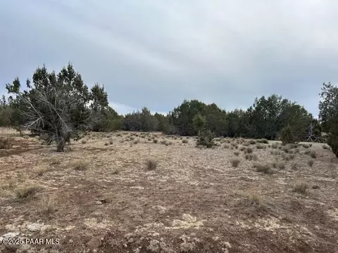 199 Westwood Rnch, Williams, AZ 86046 photo 9