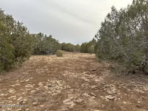 199 Westwood Rnch, Williams, AZ 86046 photo 3