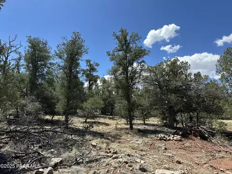 1035 W Whiskey River Rd # C, Seligman, AZ 86337