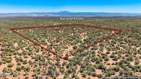 453 Arizona Rd, Ash Fork, AZ 86320 photo 20