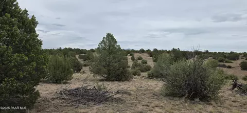 408 N2 Off Caprica Rd, Ash Fork, AZ 86320