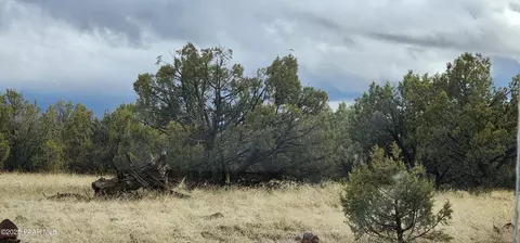 2339 N Phillip Ln, Williams, AZ 86046