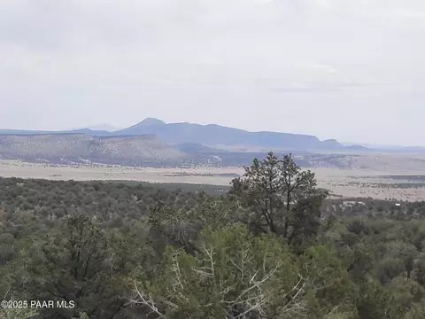 49203 N Sundance Way, Seligman, AZ 86337