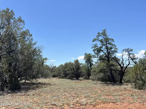 61 Norma Sw4 Rd, Ash Fork, AZ 86320 photo 3