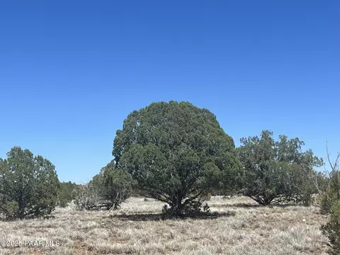 10 S2 Off Of Looking Glass, Ash Fork, AZ 86320 photo 4