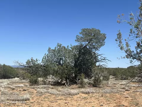 10 S2 Off Of Looking Glass, Ash Fork, AZ 86320 photo 5