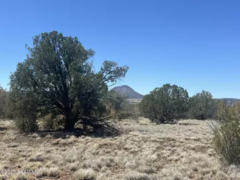 10 N2 Off Of Looking Glass, Ash Fork, AZ 86320