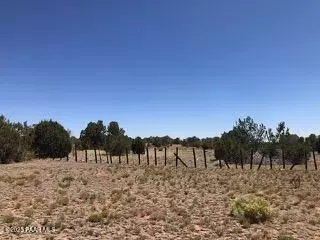 0 Parcel Apt 301-31-064a B, Seligman, AZ 86337