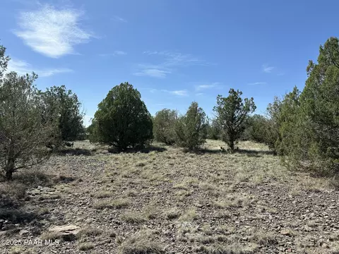 124 Dry Gulch, Seligman, AZ 86337