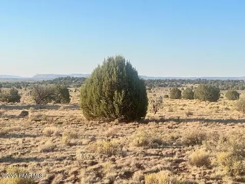 349 NE Rocky Top Rd, Seligman, AZ 86337