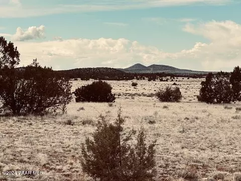 424 NW Deliverance Rd, Seligman, AZ 86337
