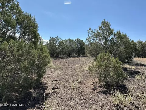 2050 W Skyline Dr, Williams, AZ 86046 photo 5