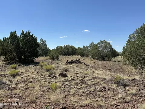 2050 W Skyline Dr, Williams, AZ 86046 photo 7