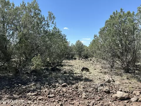 2050 W Skyline Dr, Williams, AZ 86046 photo 8
