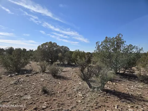 376 Haywire # D, Ash Fork, AZ 86320 photo 5