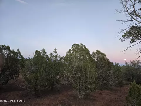 376 Haywire # D, Ash Fork, AZ 86320 photo 10
