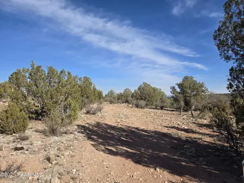 376 Haywire # D, Ash Fork, AZ 86320 photo 3