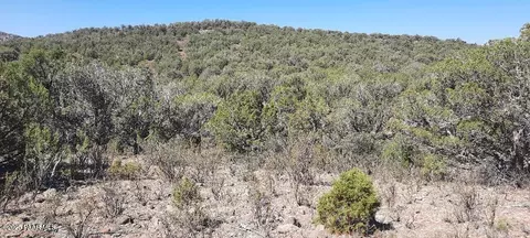 166 W2 Westwood Rnch, Williams, AZ 86046 photo 5
