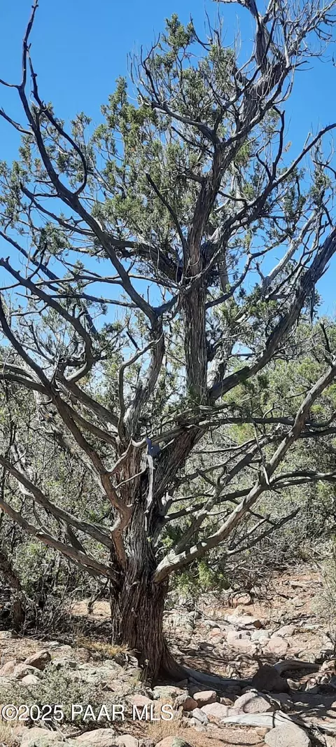 166 W2 Westwood Rnch, Williams, AZ 86046 photo 7