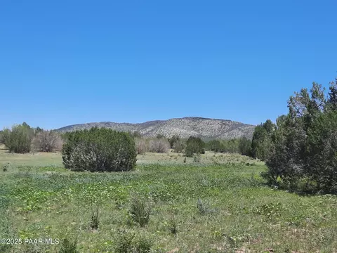 lot1316 Anvil Rock Rd, Seligman, AZ 86337