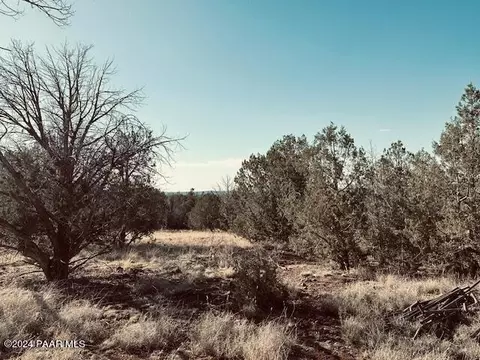 00 Terry Ln, Ash Fork, AZ 86046 photo 37