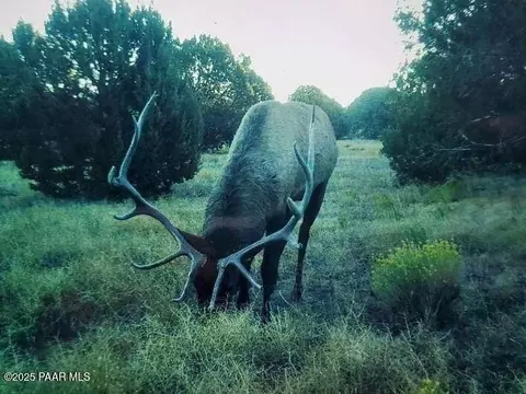 9860 Cortez Ranch Rd, Williams, AZ 86320