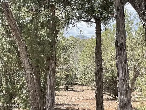 Other - 154 153 Gleed Sta, Ash Fork, AZ 86320 photo 13 of 19